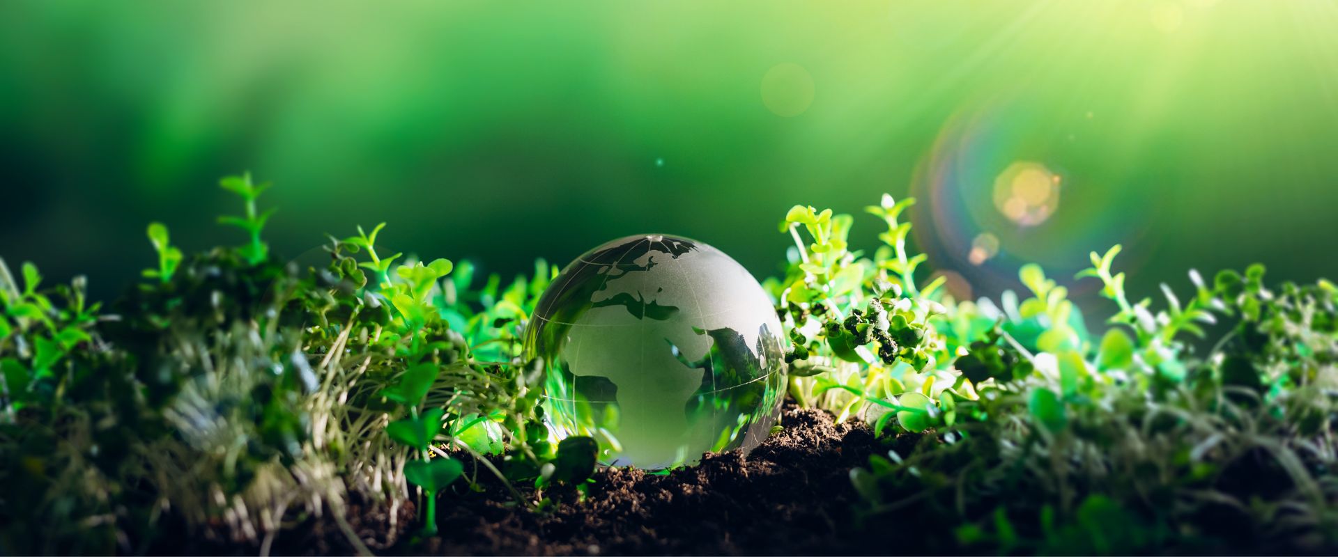 Environment